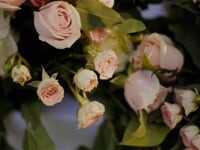 wedding. Видео 5124