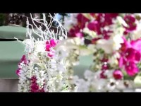 Ведущая и видеоператор. Работа. Видео 681