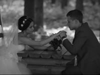 Видео альбом. Видео 3276 Видео альбом. Видео 3276