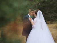 weddiing. Видео 2494 weddiing. Видео 2494