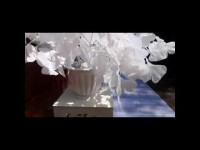 Оформление свадьбы. Видео 4941