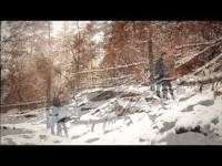 Love Story. Видео 390