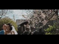 wedding and love story. Видео 725 wedding and love story. Видео 725