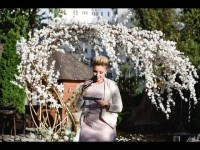 Вдохновение. Видео 4270