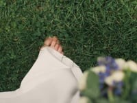 Портфолио. Видео 5655