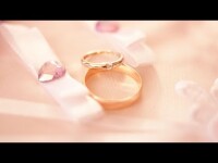 Свадебные клипы. Видео 282 Свадебные клипы. Видео 282