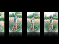 Творчество. Видео 464