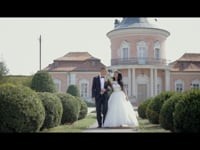 Wedding clip. Видео 2738