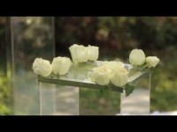 Наши душевные свадьбы. Видео 2886