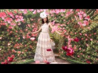 Фотобудка на свадьбу. Видео 4158