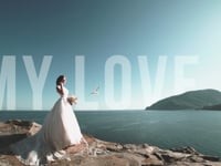 Свадьбы. Видео 3317