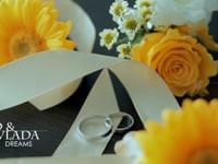 Видеоработы. Видео 1789