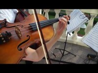 Live. Видео 5073