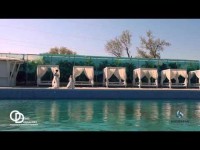 Выездные церемонии и свадьбы Marina Gabbana event group. Видео 1607