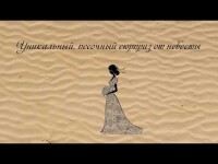 Шоу. Видео 5109