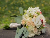 Wedding . Видео 1369 Wedding . Видео 1369