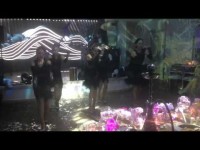 Show Ballet Dream . Видео 1977