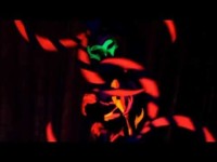 ReactoR световое и огненно-пиротехническое шоу. Видео 2252