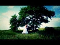 Свадебное видео. Видео 4287