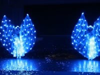 Шоу-программы. Видео 3763