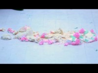 Свадебный ролики. Видео 1277 Свадебный ролики. Видео 1277