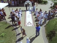 Весільне відео. Видео 2011 Весільне відео. Видео 2011