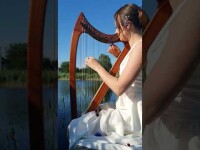 Beautiful Harp. Видео 5207