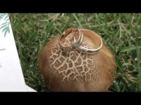 Свадьба Анатолий&Галина. Видео 3856