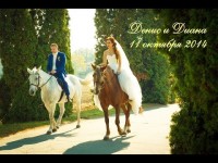 Ведущая и видеоператор. Работа. Видео 682