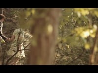 Идеально ;). Видео 1148