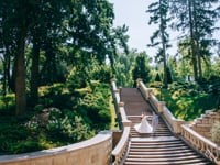 Weddings. Видео 1337