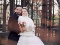 Свадебная съемка . Видео 5273