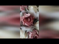 Відео. Видео 4986