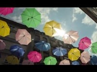 Свадебное видео. Видео 263