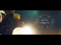 Wedding Day. Видео 3152