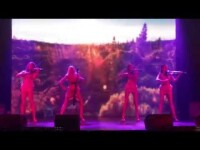 Профессиональные артисты на вашем торжестве. Видео 3446