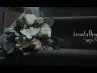 Wedding. Видео 2176