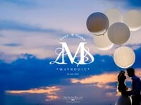 Wedding day. Видео 869