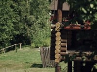 Свадебная видеосьемка. Видео 3915 Свадебная видеосьемка. Видео 3915