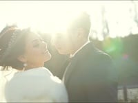 Films. Видео 1797