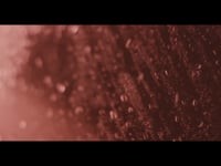 видео. Видео 3636 видео. Видео 3636