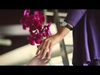 Наши работы. Видео 4088