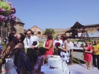Весільне відео. Видео 1993 Весільне відео. Видео 1993