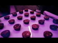 Проведенные мероприятия от ФИГАРО-Кейтеринг . Видео 1314