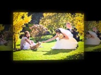 семейная и свадебная фотосессии. Видео 462