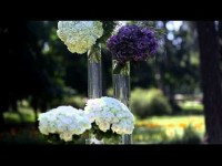 Наша флористика . Видео 298